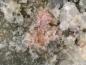 Preview: Aluminotaipingite-(CeCa)